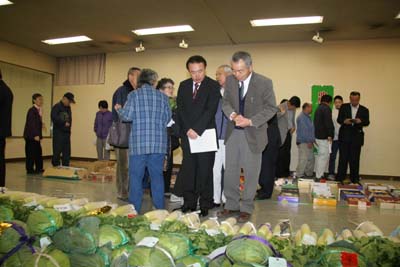 農業祭で出品された朝霞産の野菜を見学