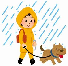 雨の日犬散歩