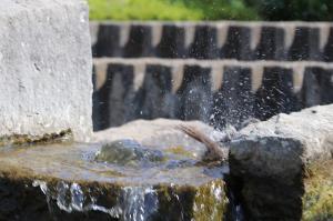 朝霞市役所の池の水に飛び込む池