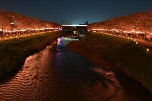 作品写真　黒目川の夜景