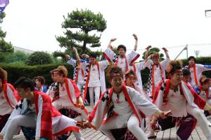 鳴子踊り（遊和会）