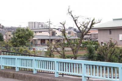 東林橋