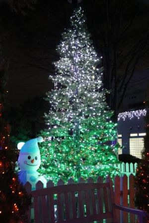 中央公園のクリスマスツリー