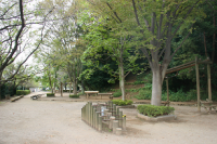 城山公園イメージ画像