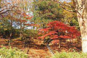 島の上公園　すべり台