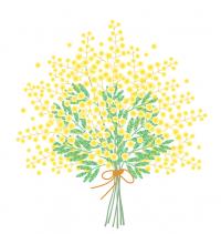 黄色いミモザの花束のイラスト