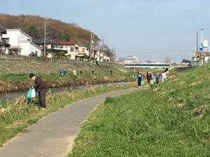 黒目川堤防清掃