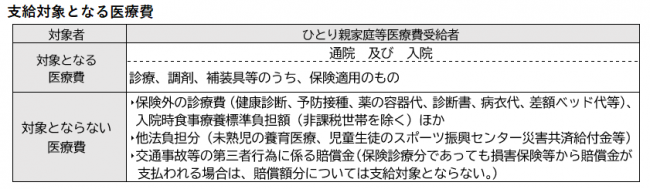 支給対象となる医療費　保険診療の医療費が対象となります、保険診療外の健康診断、予防接種等の費用は対象外です。