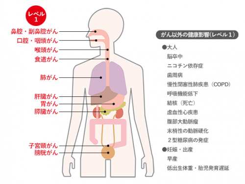 喫煙している本人がなりやすいがんの種類（レベル1：科学的に因果関係が明らかなもの）