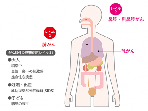 喫煙している人の周りの人がなりやすいがん（レベル1・レベル2）