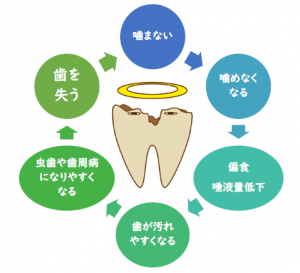 歯