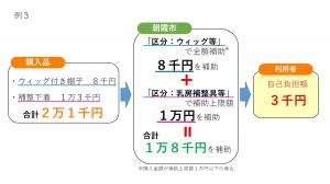 補助例3