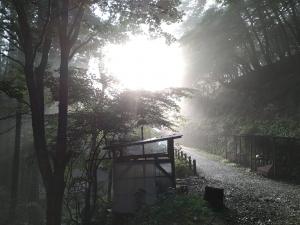 キャンプ大会様子写真１