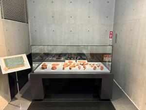 展示の様子４