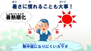 暑熱順化について