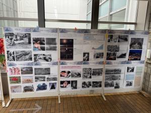 パネル展示の全体の様子です