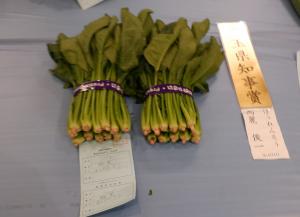 埼玉県知事賞受賞のほうれん草です。