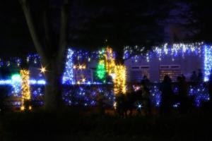 幻想的なイルミネーションの写真