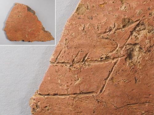 土器破片（左上）に描かれた船