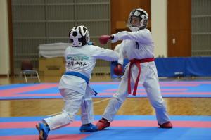 空手道組手競技