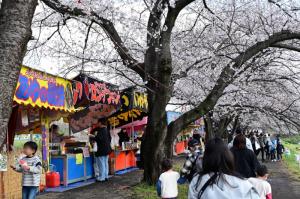 花まつりの様子の写真です。川沿いに咲く桜の木を見物しながら、出店の食べ物を来場者の皆さんが楽しんでいます。