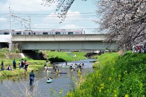 花まつりの様子の写真です。黒目川沿いでは、子どもたちがカヌーを漕いでいます。