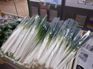 新鮮な長ネギです