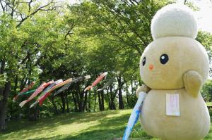 とても気持ちよさそうに、こいのぼりが大空を泳いでいます