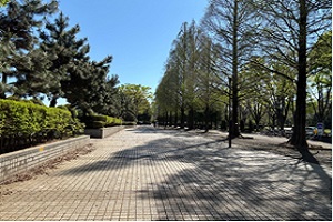 公園