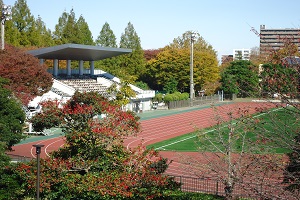 陸上競技場