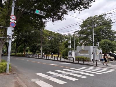 市役所駐車場トイレ正面道路から