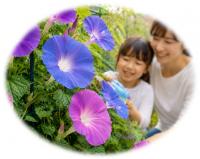青と紫の朝顔の横で親子が笑っている画像