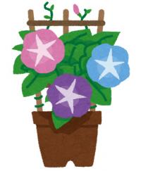 朝顔の鉢植えのイラスト