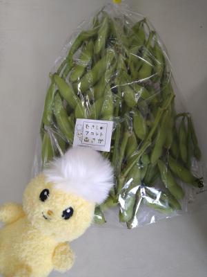 朝霞の新鮮な枝豆です