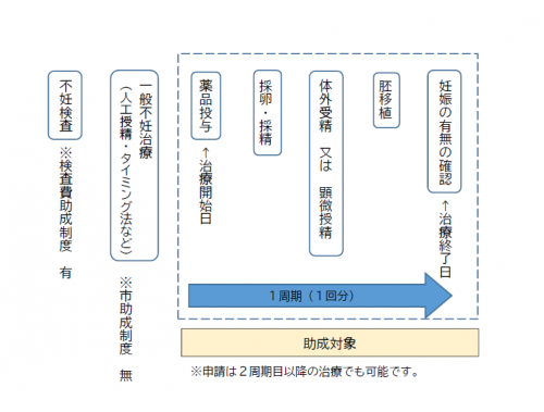 助成対象治療の範囲(例)