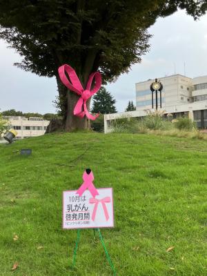 日中の様子