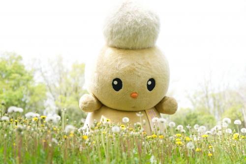 朝霞市キャラクター「ぽぽたん」