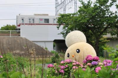 ぽぽたんの活動