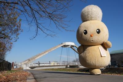 ぽぽたんの活動