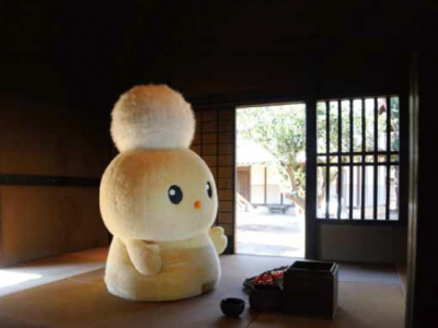 ぽぽたんの活動