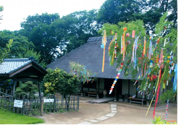 入選「七夕祭り」　平松　孝　様