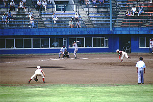 中央公園野球場利用の様子