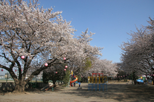 北朝霞公園