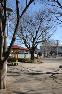 北浦公園