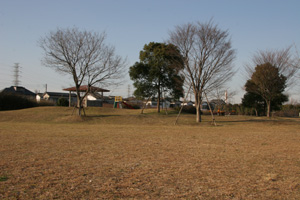 田島公園