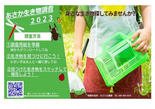 生き物調査２０２３