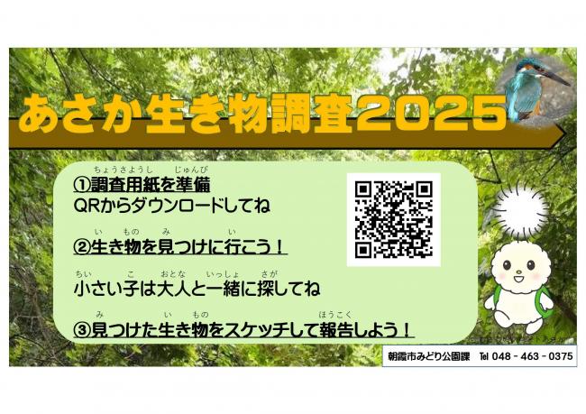 チラシ