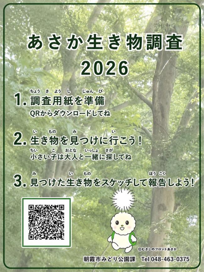 チラシ